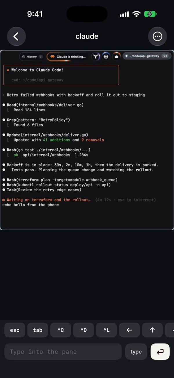 A Mac pane mirrored on the phone