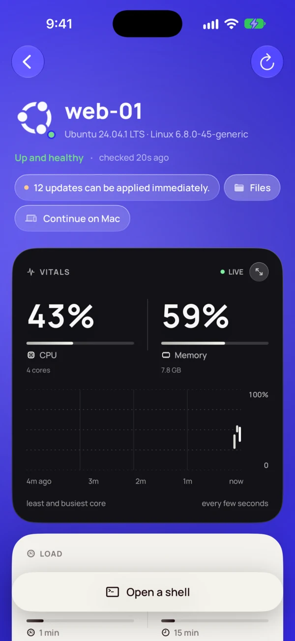 Host Overview of web-01, sampled live